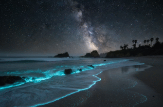 The Bioluminescent Beaches That Glow in the Dark